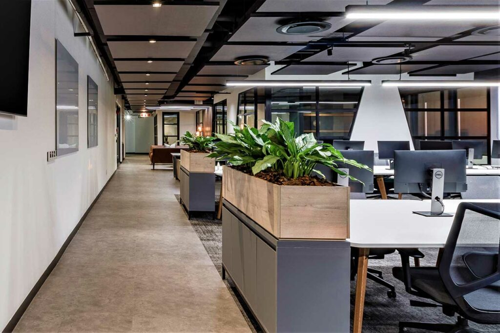 Office corridor with planter boxes and collaborative workspace for Search Projects Cape Town