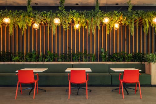 sustainable office design trends binging nature indoors