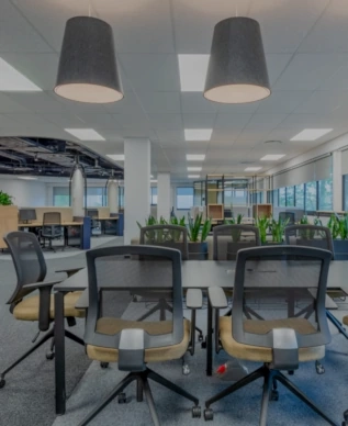 Workplace Ergonomics & Employee Wellness Consulting